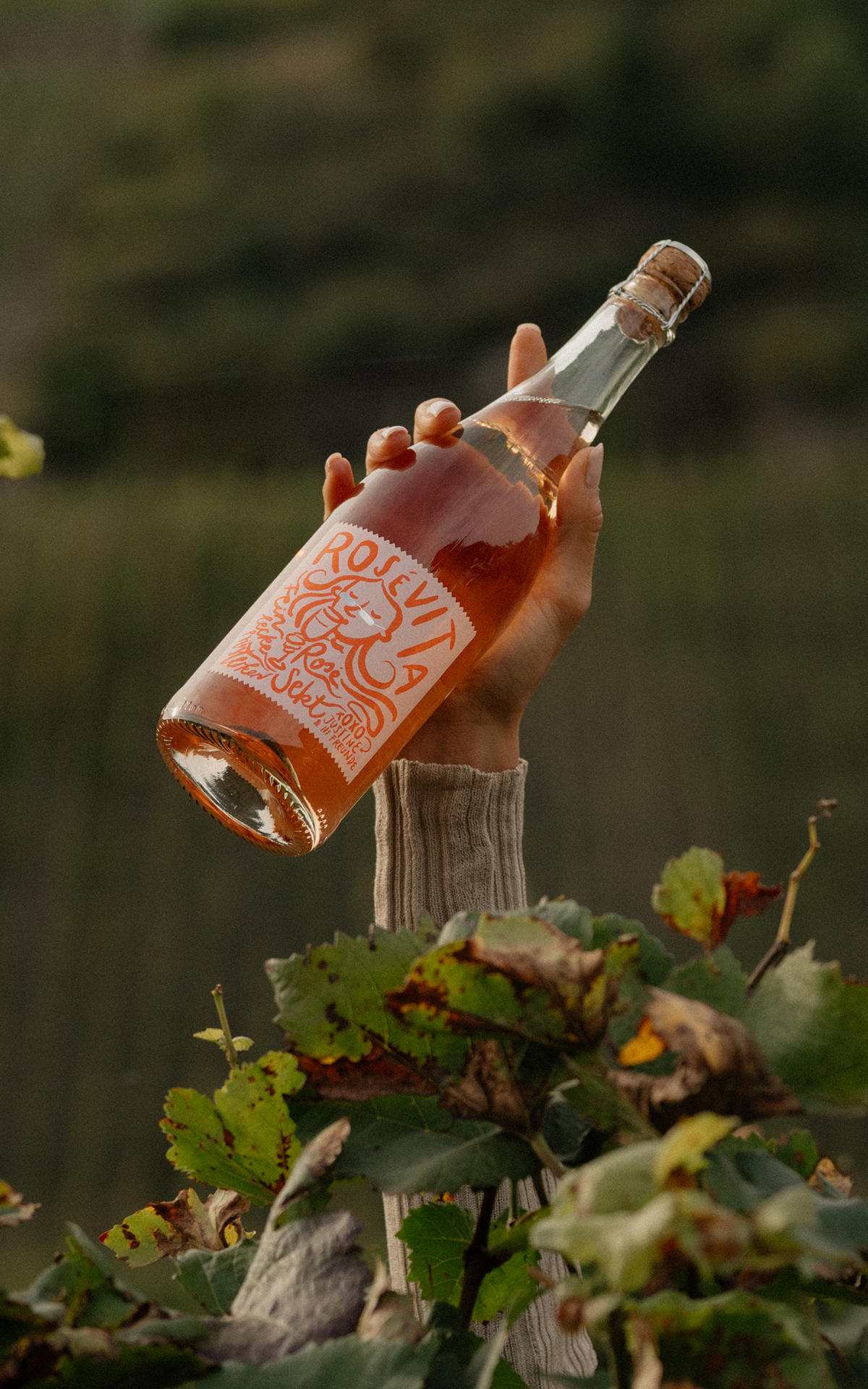 Rosé Vita Sekt 0,75l